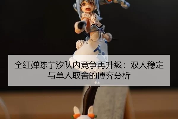quan-hong-chan-chen-yu-xi-dui-nei-jing-zheng-zai-sheng-ji-shuang-ren-wen-ding-yu-dan-ren-qu-she-de-bo-yi-fen-xi-2-608.jpg